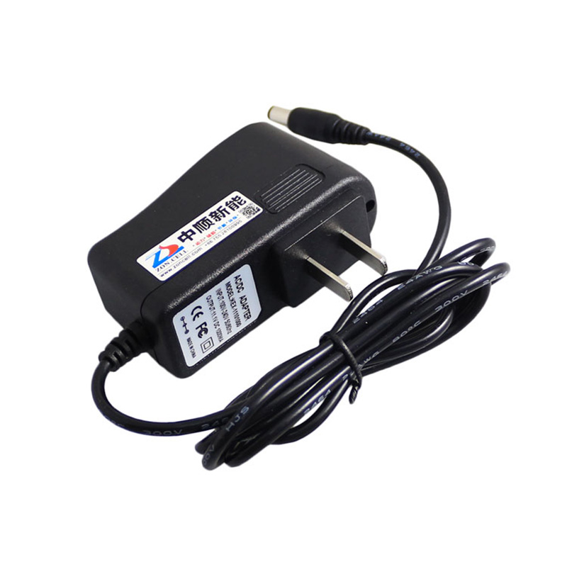 LiFePO4 Battery Charger