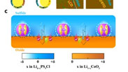 First in situ visualization of lithium transport in sulfide solid-state batteries